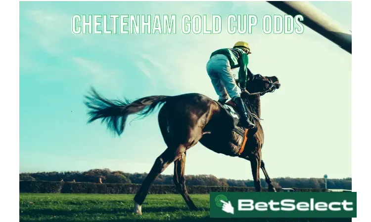 Cheltenham Gold Cup and Champion Hurdles Odds 2026