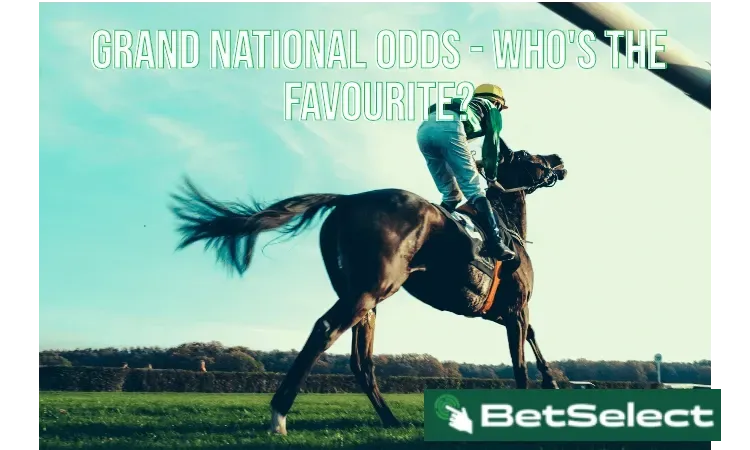 Grand National Odds - Who Do The Bookies Favour?