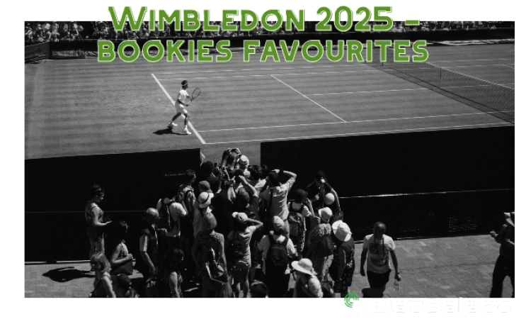 Wimbledon 2025: Jannik Sinner vs Carlos Alcatraz - Who do the Bookies Favour?